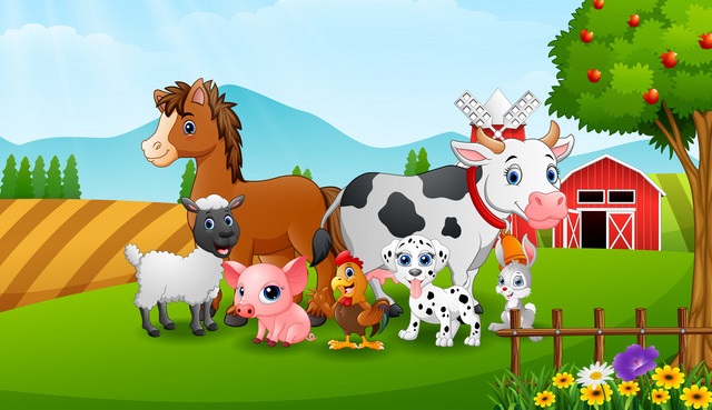 Farm Animals